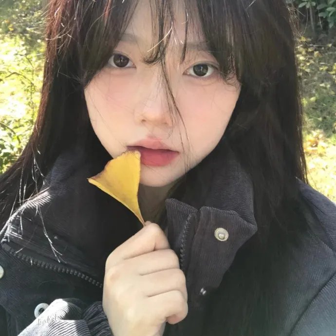 今天的恋爱